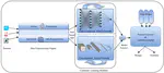 Continual Learning for Anomaly based Network Intrusion Detection